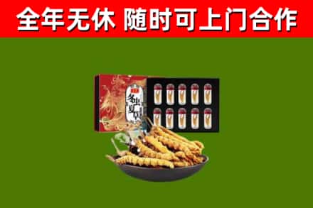 宝山区回收冬虫夏草价格